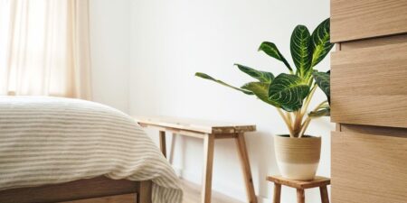 best indoor plants - Luxe Digital