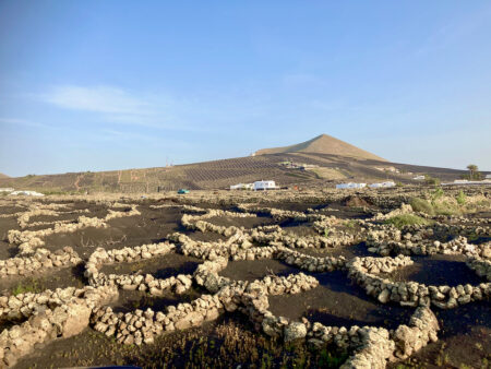 Lanzarote, l'île des cratères volcaniques et de la faune