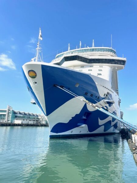 Découvrez la magie envoûtante sur The Sun Princess
