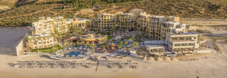 Il s'agit de sauver la saison des tortues de mer dans les complexes hôteliers de Los Cabos