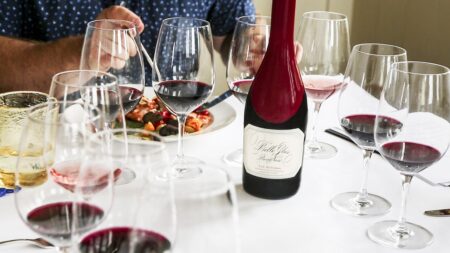 Éducation au terroir : variations gustatives dans les vignobles de canne à cuivre