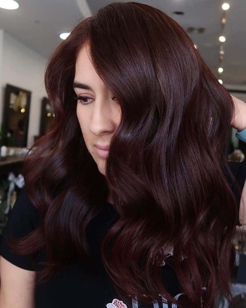 cheveux noirs met en valeur la couleur des cheveux noirs et auburn - Luxe Digital