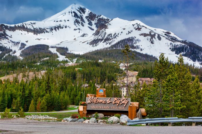 Découvrez la majesté de Big Sky avec votre meilleur ami à quatre pattes