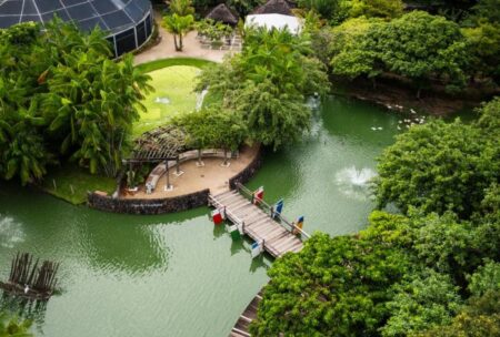 La résurgence de Belém: la nouvelle éco-hub du Brasil mène les voyageurs à la passerelle de l'Amazonie