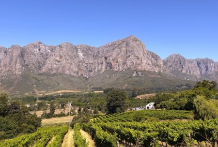 Volez-vous au Cap, restez à Stellenbosch, en Afrique du Sud