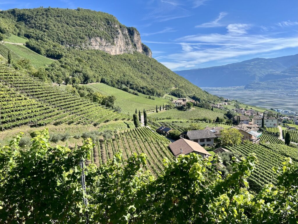 10 raisons de visiter la région viticole italienne Alto Adige