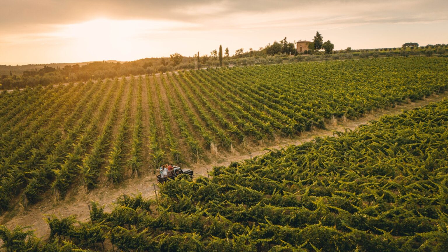 Vallepicciola: où les vignobles rencontrent le ciel toscan