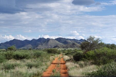 Comment Tswalu réécrit l'économie de la conservation grâce à son projet de crédit carbone