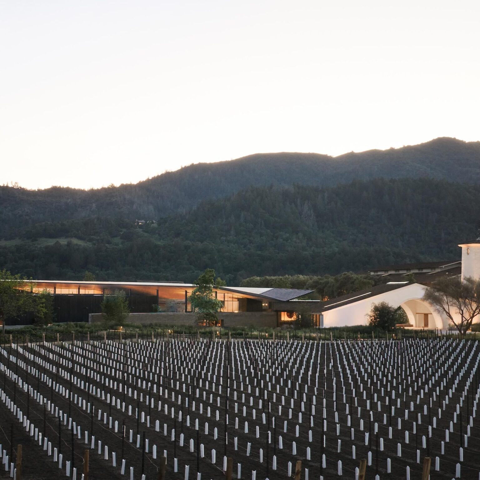 La cave Robert Mondavi rouvre après une fabuleuse transformation La cave Robert Mondavi rouvre après une fabuleuse transformation