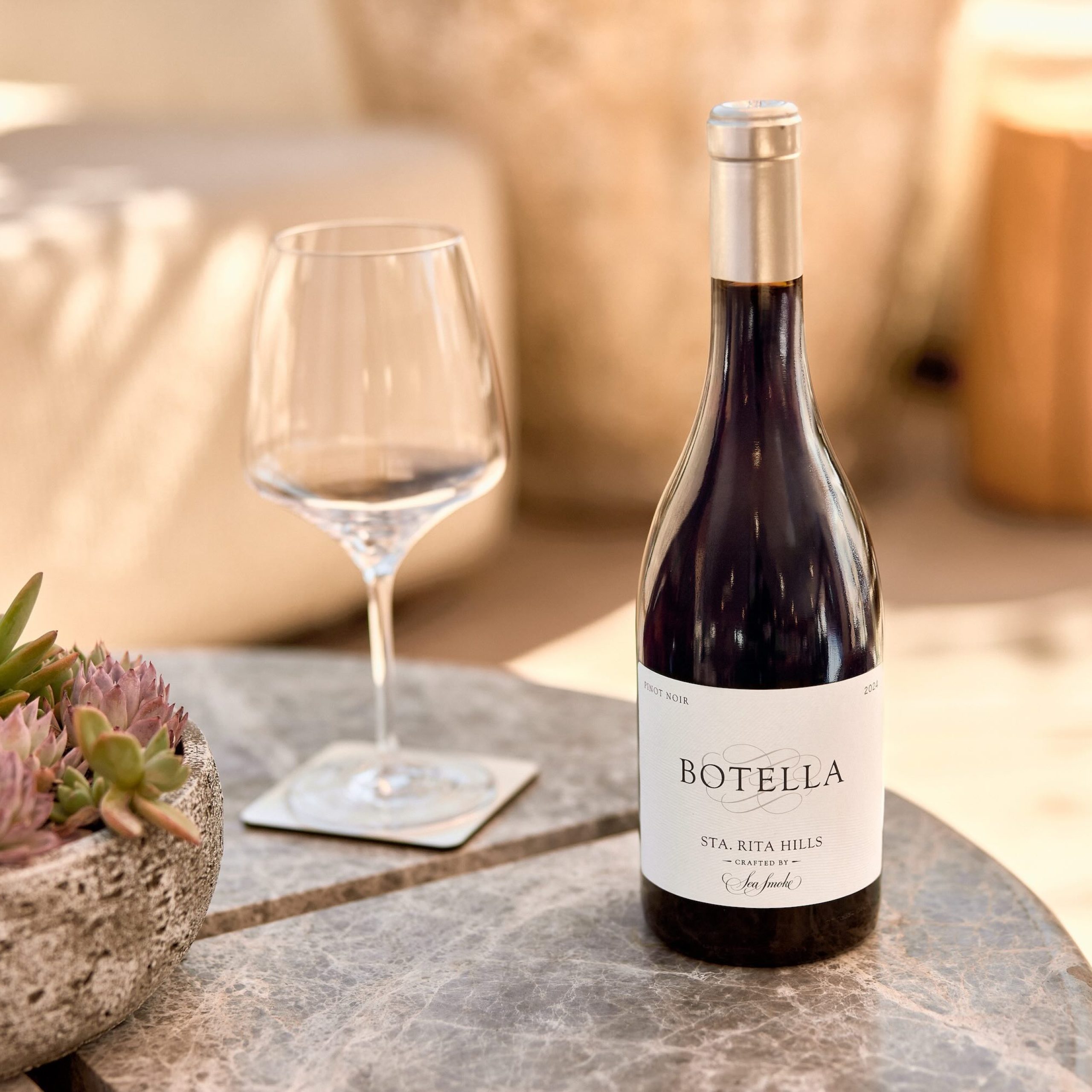 Bouteille de vin Botella avec un verre et un succulent arrangement sur une table dans un cadre cosy.