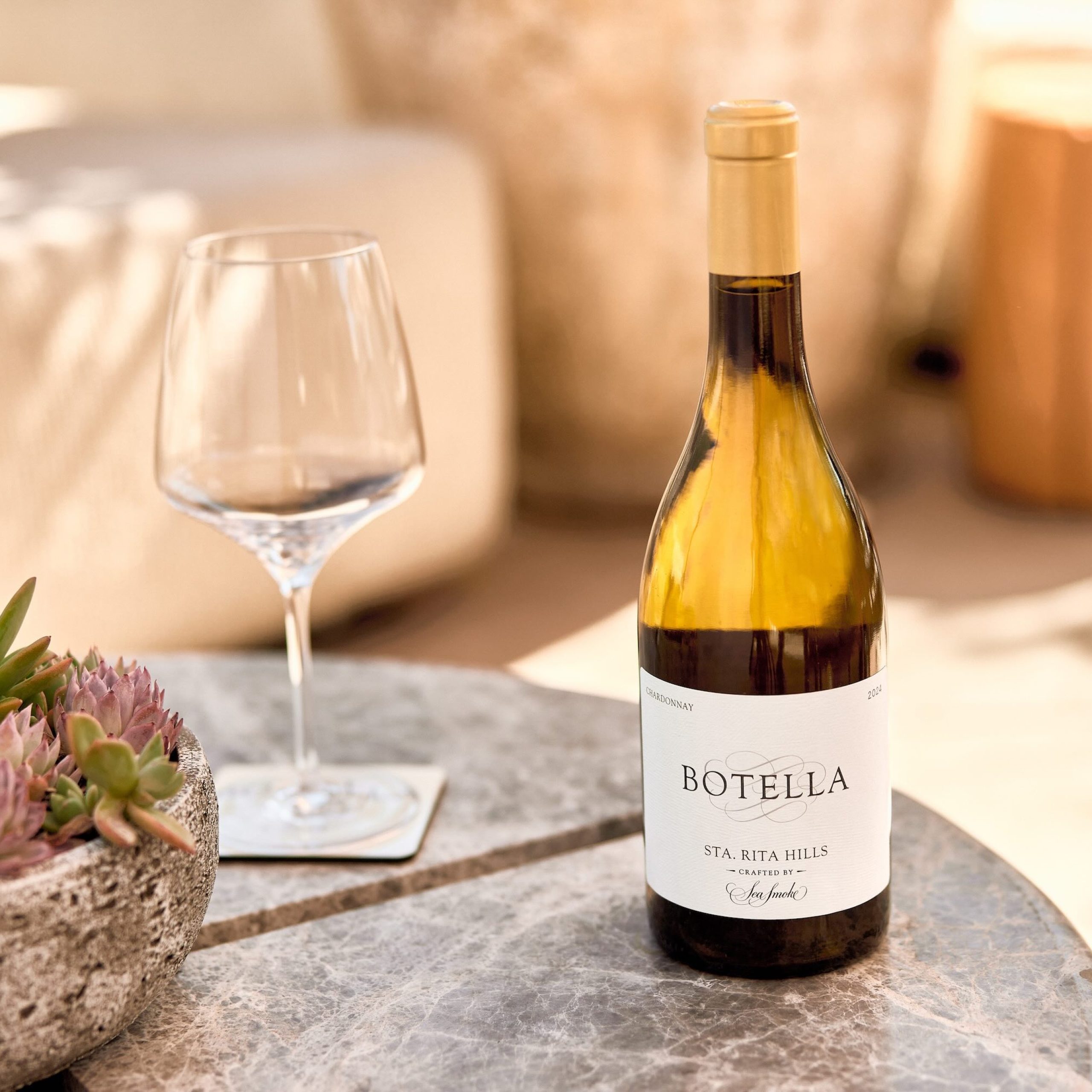 Bouteille de vin Botella présentée avec un verre et un arrangement succulent sur une table en marbre.