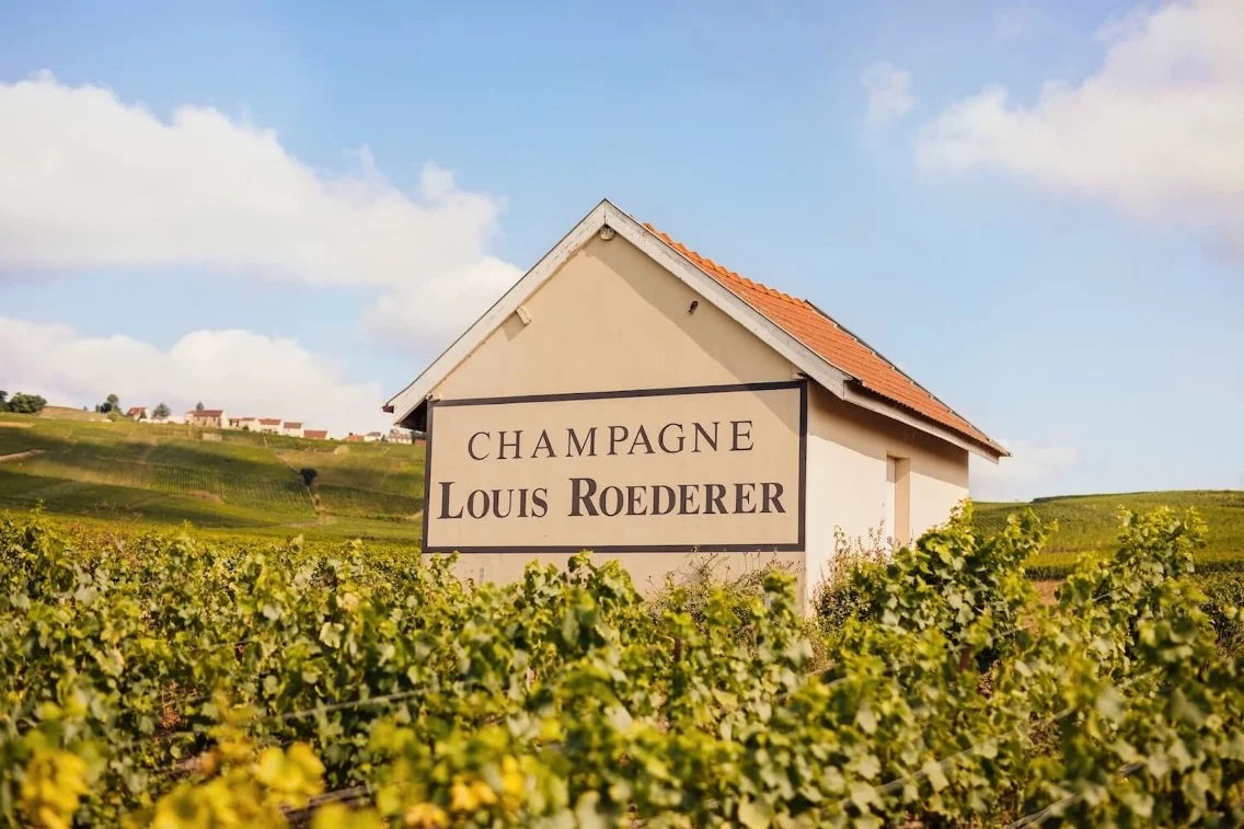 Champagne Louis Roederer signe devant des vignobles luxuriants sous un ciel bleu clair.